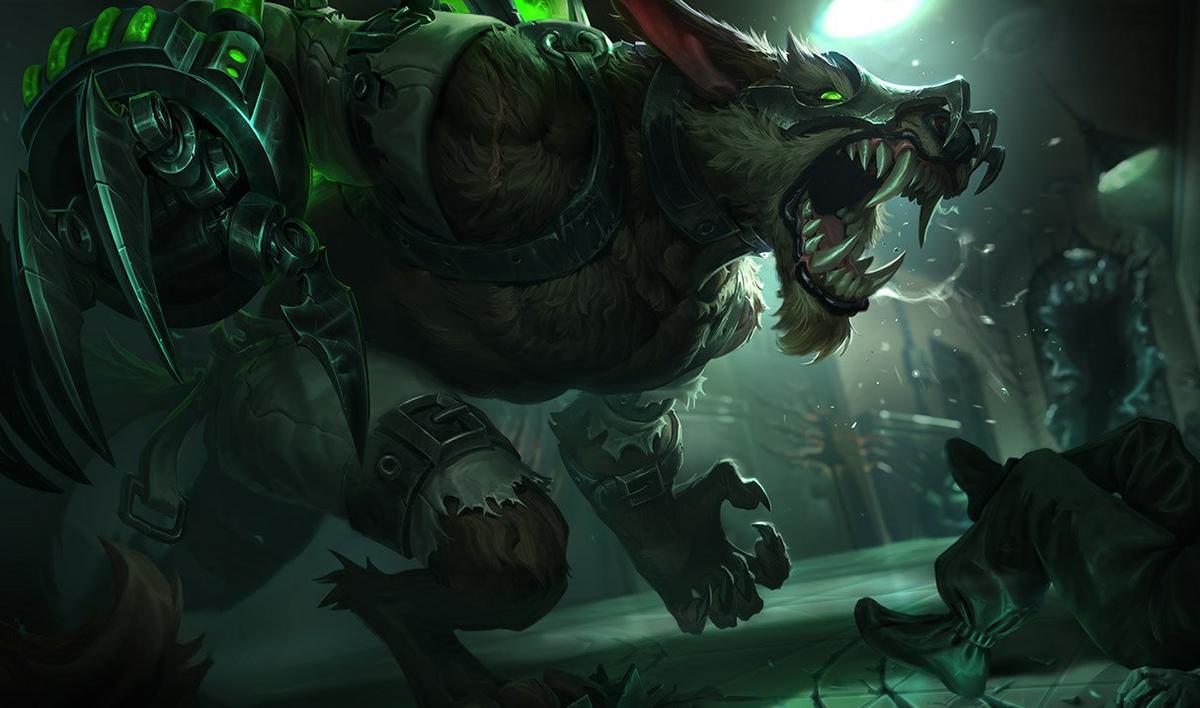 Dziki Warwick